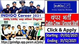 INDIGO AIRLINES CABIN CREW RECRUITMENT 2021 || Cabin Crew Vacancy 2021 || Airlines Jobs