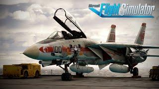 Just. . . WOW | Heatblur Arrive in MSFS! | F-14 Tomcat Review Flight | Microsoft Flight Simulator