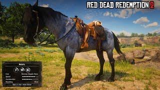 The only Horse you need | Reverse Dapple Roan Nakota | RDR2 | PS4 Slim