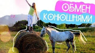 ОБМЕН КОНЮШНЯМИ | Уехала за 2600 км | У Алисы и Медеи