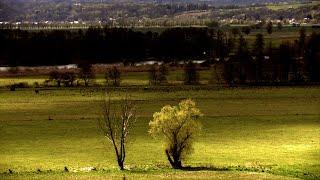 Liepe  -  ein früheres märkisches Fischerdorf  (2. erweiterte Version)