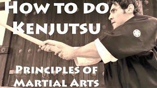 BEST KENJUTSU - PRINCIPLES OF MARTIAL ARTS BY METIN KAYAR (2018)