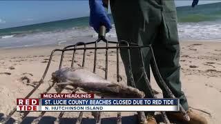 Red tide closes beaches in St. Lucie County