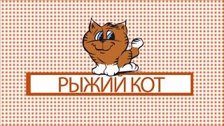 Рыжий кот.