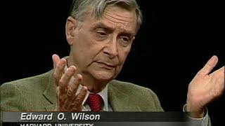 E.O. Wilson interview (1998)