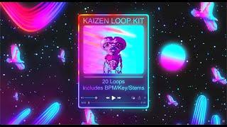 LOOP KIT/SAMPLE PACK "KAIZEN" | Melodic Type Loops 2023