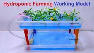 hydroponic farming working model for science exhibition | inspire award science project | howtofunda