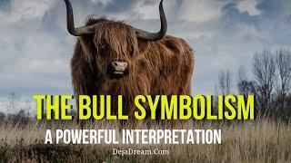 The Bull Symbolism: A Powerful Interpretation