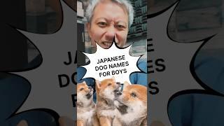 Japanese male dog name recommendations 