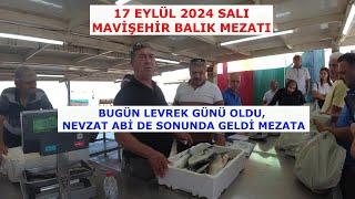 MAVİŞEHİR MEZATTA BUGÜN BOL LEVREKLİ, NEVZAT ABİLİ HARİKA BİR GÜN OLDU. 17 EYLÜL SALI.