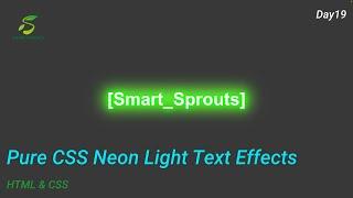 Pure CSS Neon Light Text Effects