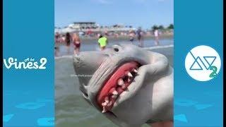 Funny Shark Puppet Instagram Videos Compilation 2019 | Best Shark Puppet videos (W/Tittles)
