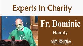 Mercy, Not Sacrifice - Jul 19 - Homily - Fr Dominic