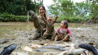 Together with my young son, I harvested giant fish ponds and brought them to the market to sell