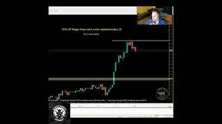 Raja explains when NOT to take a trade  #shorts #trading #forex #tips #money #smc #success #wealth