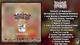 Redundant Protoplasm - Torrents of Depravity: An Exercise... LP FULL ALBUM (2024 - Goregrind)