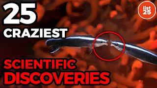 25 Craziest Scientific Discoveries You Missed In 2024