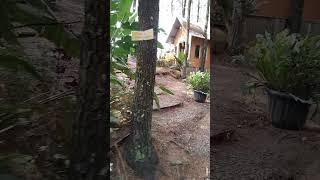 vlog penginapan dan villa di gunung gantole cililin bandung#vidio - Andrew widjaya