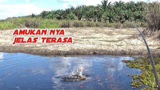 MANTAP CUY..!! BER'ULANG ULANG JORAN MELENGKUNG DI TARIK IKAN,MANCING BETOK