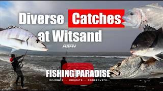 Scratching for EDIBLES off the rocks | Fishing Paradise | Witsand | ASFN Rock & Surf