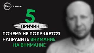 Не получается направить Внимание на Внимание | 5 основных причин