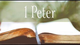 Shepherd the Suffering | 1 Peter 5:1-4