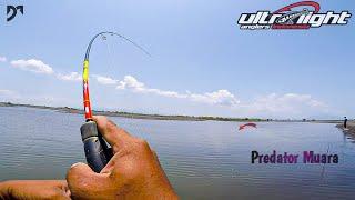 MANTAP...!! CASTING DI MUARA SAAT AIR SURUT DAPAT IKAN PREDATOR...!!