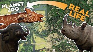  Is this the MOST Detailed RECREATION in Planet Zoo? | Beekse Bergen Recreation Tour