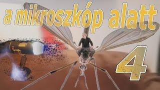 a mikroszkóp alatt 4