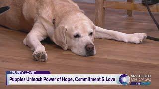 Puppies Unleash Power of Hope, Commitment & Love