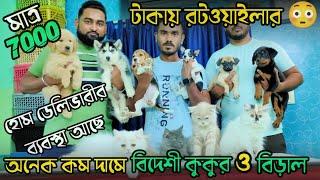 Low Price Puppy In Kolkata| Cheapest Dog Kennel In Kolkata | Recent Dog Puppy Price Update