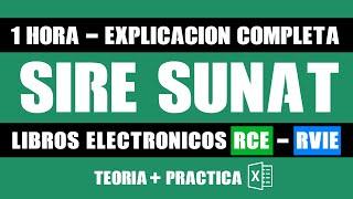 SIRE SUNAT -  RVIE RCE | Explicación completa + Macro Excel