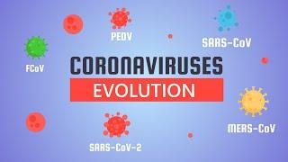 Evolution of Coronaviruses (Animation)