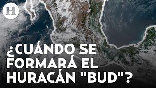 ¿Se acerca otro huracán? SMN alerta por posible formación del ciclón tropical "Bud" en México