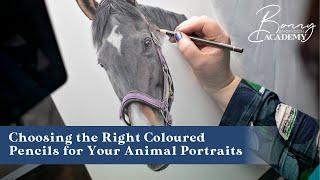 How to Choose the Right Coloured Pencils for Your Animal Portraits | Materials Guide