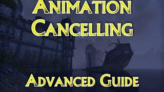 Advanced ESO Animation Cancelling Guide - Pro Tips & How to Optimize Your DPS!