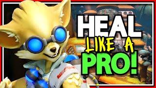 How to Heal Like a PRO With Pip! (Paladins)