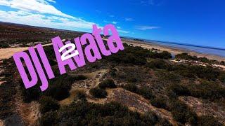 DJI Avata 2 First Flight