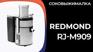Соковыжималка REDMOND RJ-M909