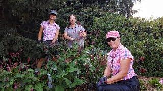 A tour of summer in the garden at Willows Lodge