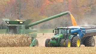Corn Harvest 2020 | John Deere S780 Combine Harvesting Corn | Ontario, Canada