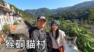 Houdong Cat Village - Recommend my daughter's channel @Jessica.0111