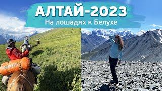 Алтай 2023 / Поход на лошадях к подножию Белухи