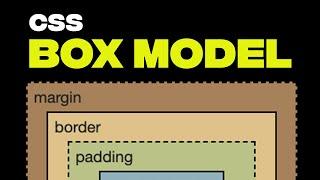 Learn CSS Box Model with Examples