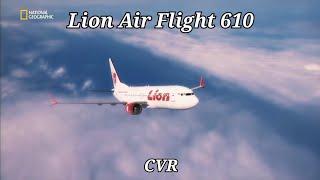 Lion Air Flight 610 CVR + Animation