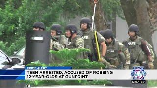 Teen arrested has 15 active warrants