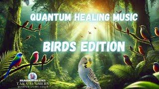 Healing Bird Music | Quantum Music | Healing Power of Nature’s Songs | Transform Your Body & Mind