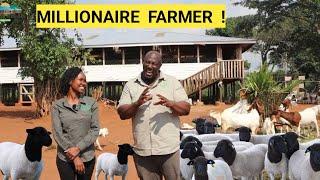 Brilliant Ideas For Raising Goats, Sheep In A Small Piece Of Land! | Be A Market Leader!