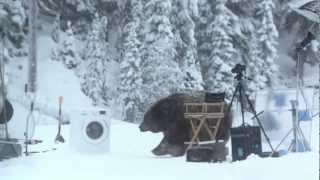 Ржач)Медведь помог протестировать стиральную машину!)