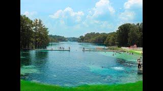 Top 12 Springs in North Florida